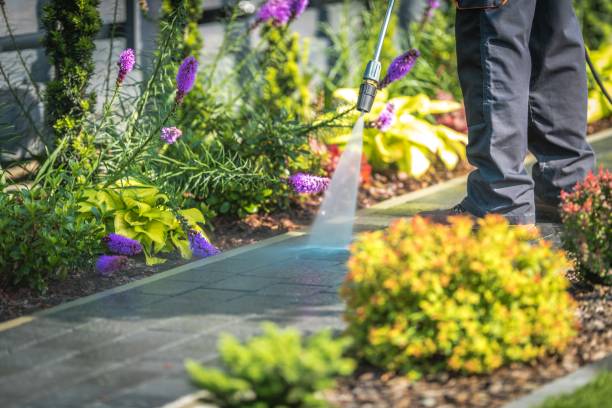 Best Spring Cleaning  in Woodsboro, MD